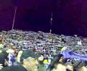 Fiorentina - Psv Eindhoven - La Curva Fiesole 1