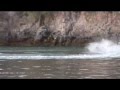 Chad Montgomery PowerSki JetBoards G-Force Performance Carving