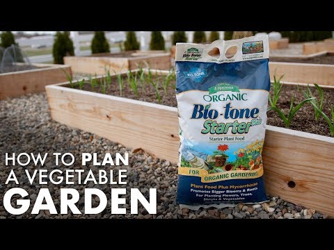 video-linktoworks-How to Plan A Vegetable Garden