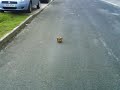 Tumbleweed...