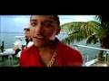 clip video Pitbull Secret Admirer