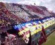Salernitana Pescara Coreografia