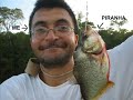 pantanal norte mt  brazilian midwest part ii 