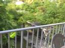 Le studio carambole se trouve sur la plage de la commune de sainte annehttp://ww.vacancesenguadeloupe.net