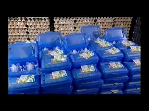 MeiBox - Die Mehrweg-Eierbox