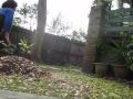 my incredible palm flip progression