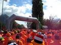 videos de Oranjecamping Interlaken euro 2008