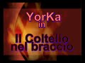 IL COLTELLO NEL BRACCIO - Il mago YorKa