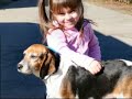 Tri-County  Animal  Rescue Open House  Adoption  Day