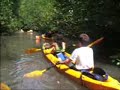 Kayaking at krabi Talen with Mr.Tiger