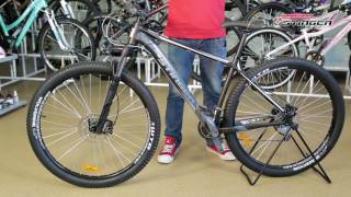 Stinger Genesis HD 29