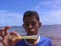 videos de Film