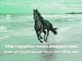 اشهد يا حبيبى - محمد رشدى