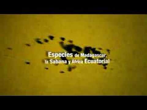 Imagen de previsualización de YouTube