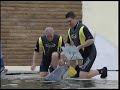 Aqua Club Dolphin & Dolphinarium