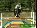 Showjumping!