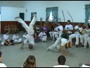 Sasquate e Pardal