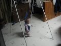 Aisha jumping Aisha jumping