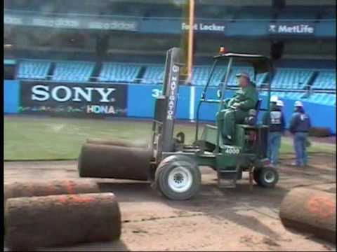 how to transplant grass sod