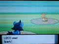 Pokemon Diamond Adventures Part 27: Luxio vs Fishermens Pokemon Diamond Adventures Part 27: Luxio vs Fishermens