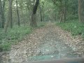 This is the evening at the dense Dudhwa Forest. Just look at the caliginosity of the jungle. - Dudhwa National Park