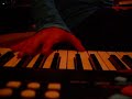 Dogs Can Grow Beards PIANO COVER