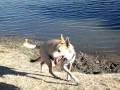 videos de MVI 0112