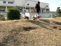 videos de MVI 2003