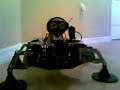 Quadruped Robot
