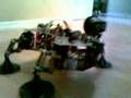 Quadruped Robot