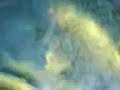 20lb koi carp in garden pond #2 RECENT 20lb koi carp in garden pond #2 RECENT