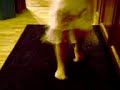 Chloe Okeymaw-Dion walking on her toes Chloe Okeymaw-Dion walking on her toes