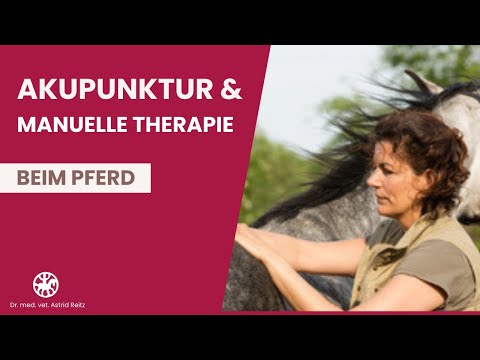 Akupunktur und Manuelle Therapie beim Pferd - Dr. Astrid Reitz 