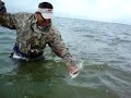 Baffin Bay 29.5\" Trout Baffin Bay 29.5\" Trout