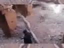 megawardi megawardi