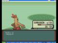 videos de me torchic evolving in to a cobuskin on winning frist gym leader