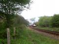 D9009 starts the climb to Goathland