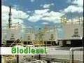 A Usina de Biodiesel da Petrobras