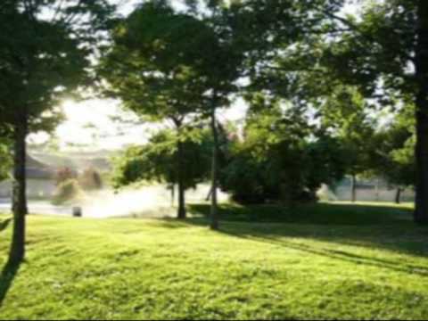 Donde solo existas t�