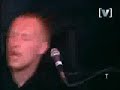 coldplay animals