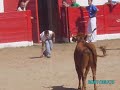 olor a jazmin,perdoname de SINLACHE olor a jazmin,perdoname de SINLACHE