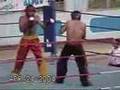 amir esmail egyption crocop amir esmail egyption crocop