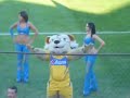 PoRrIsTaS De TiGrEs-EdEcAnEs MaMaCiTaS  (reynosa)