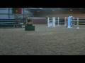 Womble Ingliston