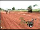 3 carroca show arrancadao de carro�as de tapira pr.mpg