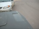 The Exciting Life of a Garbage Can
