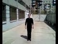 Youshen bagua lianhuan zhang