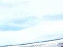 surf