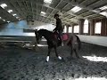 Holly Payne Training Young Horse 1138