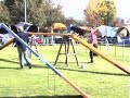 Jona und Jasper, K�ngen, 27.09.08 A1